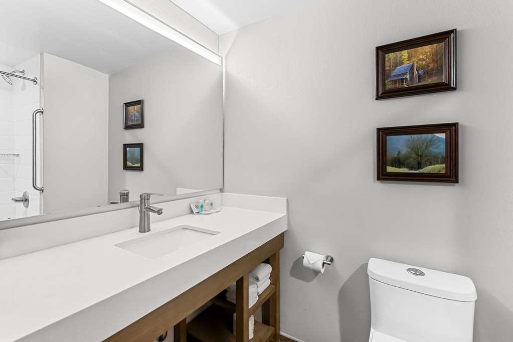 Comfort Suites Columbia Room photo